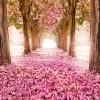 Фотообои цветы 401