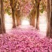 Фотообои цветы 401