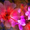 Фотообои цветы 376