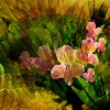Фотообои цветы 384