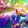 Стеклянный потолок Серия "Времена года" A1042